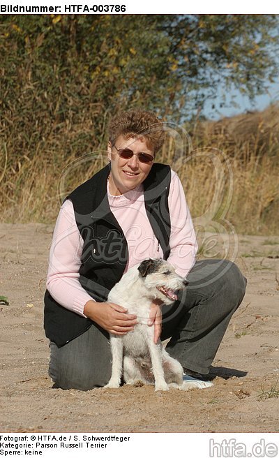 Parson Russell Terrier / HTFA-003786